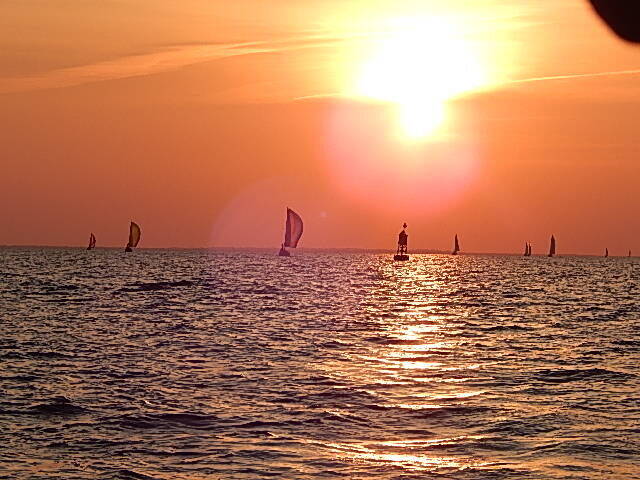 Fleet of Spinnakers Approaching Mo(A) C off St. Clement's Island