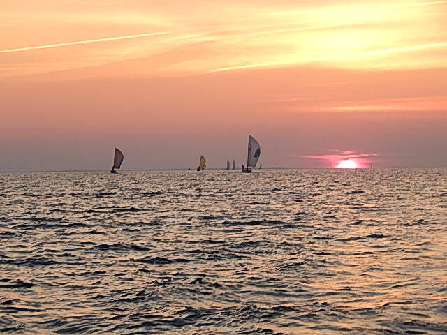 Trailing Spinnaker Fleet in the Sunset