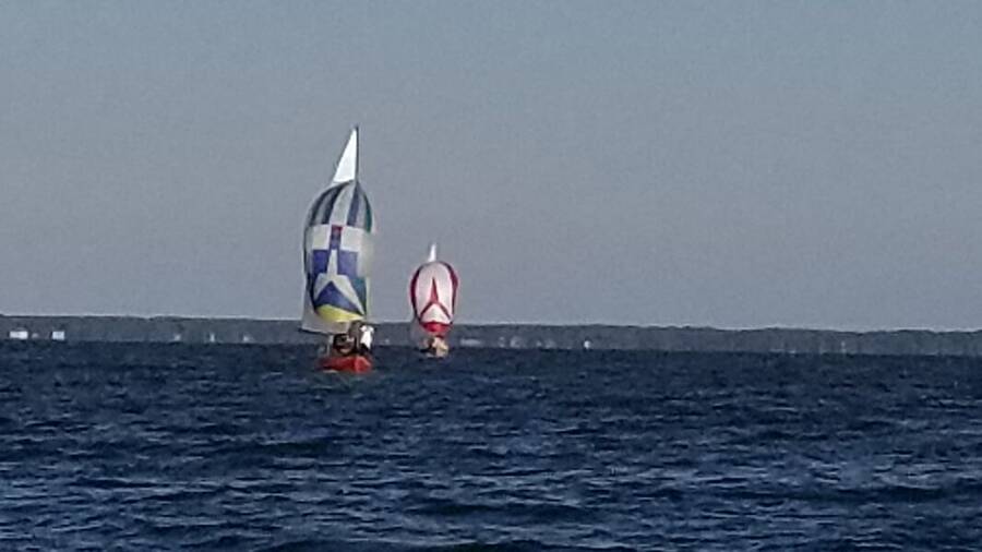 Papaya and Mea Culpa approaching leeward mark